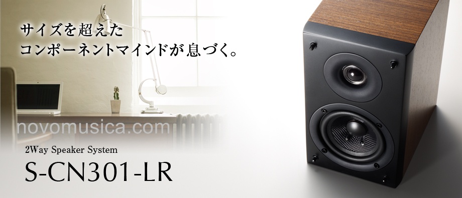 Pioneer SCN301
